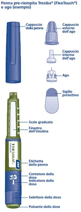 Bild 61