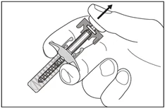 Bild 21