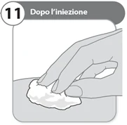 Bild 19
