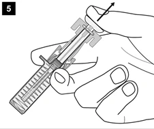 Bild 17