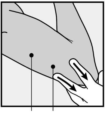 Canvas 65