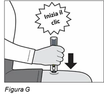 Bild 17