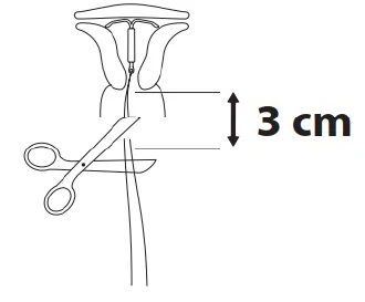 Grafik 5
