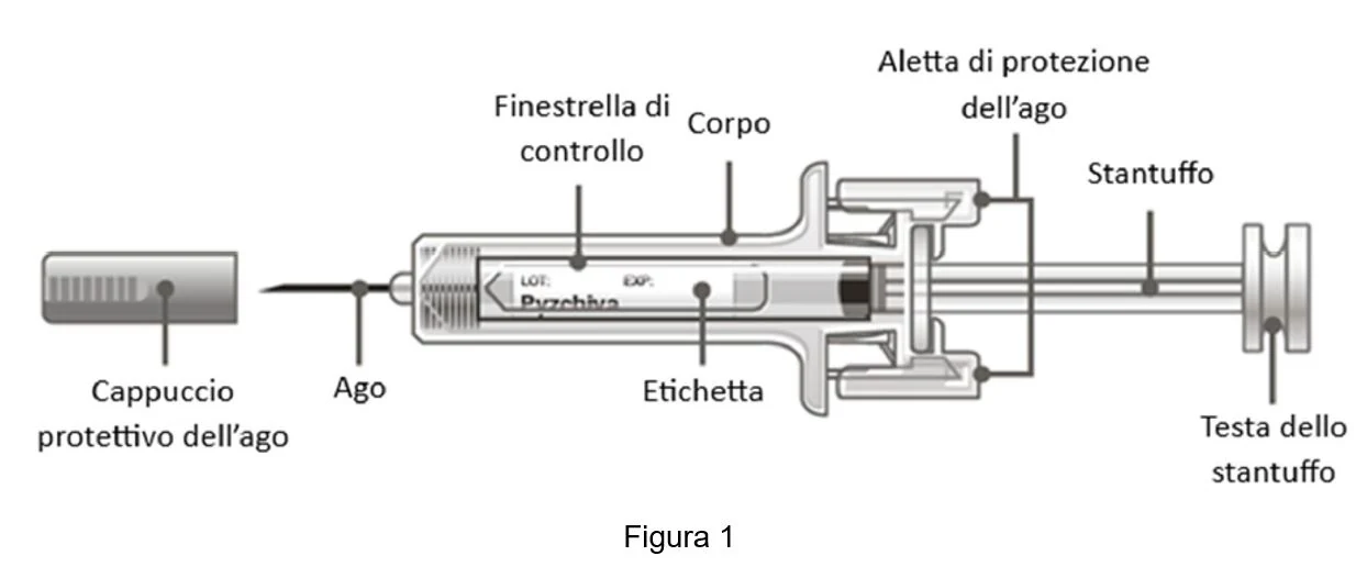 Picture 1