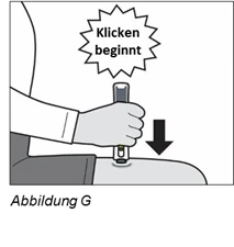 Bild 17