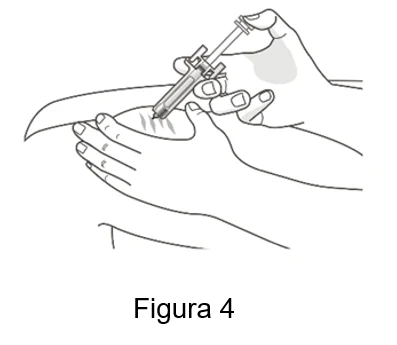 Picture 1