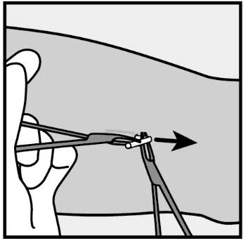 Canvas 343