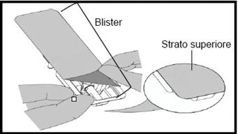 Bild 21