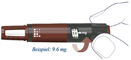 Bild 31