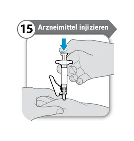 Bild 31