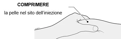 Bild 25