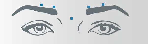 C:\Users\ertel\Desktop\Glabella.PNG