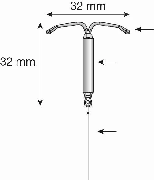 Kép 1