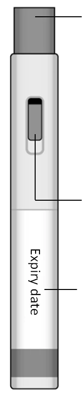 Grafik 33
