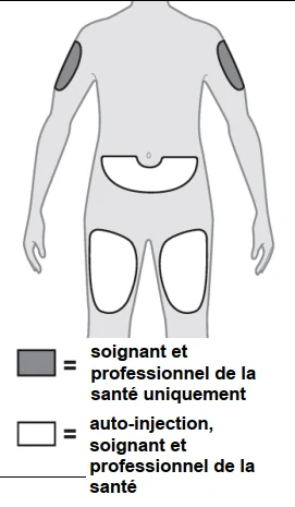 A diagram of a person's body

Description automatically generated