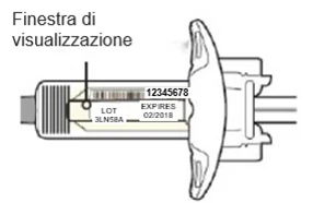 Bild 21