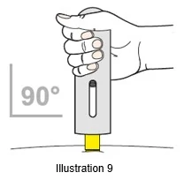 Bild 21
