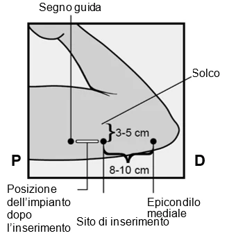 Diagram

Description automatically generated