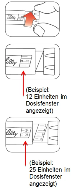 Bild 29