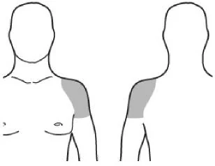 Grafik 7