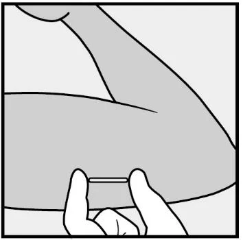 Canvas 82