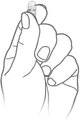 image9.jpeg