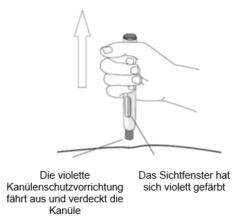 Bild 13