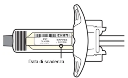 Bild 17