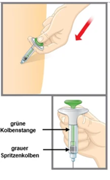 Bild 19