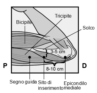 Diagram

Description automatically generated