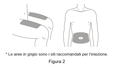 Picture 1